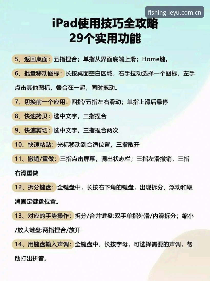 乐鱼体育平台使用教程最新动态：新手必备的完整操作指南