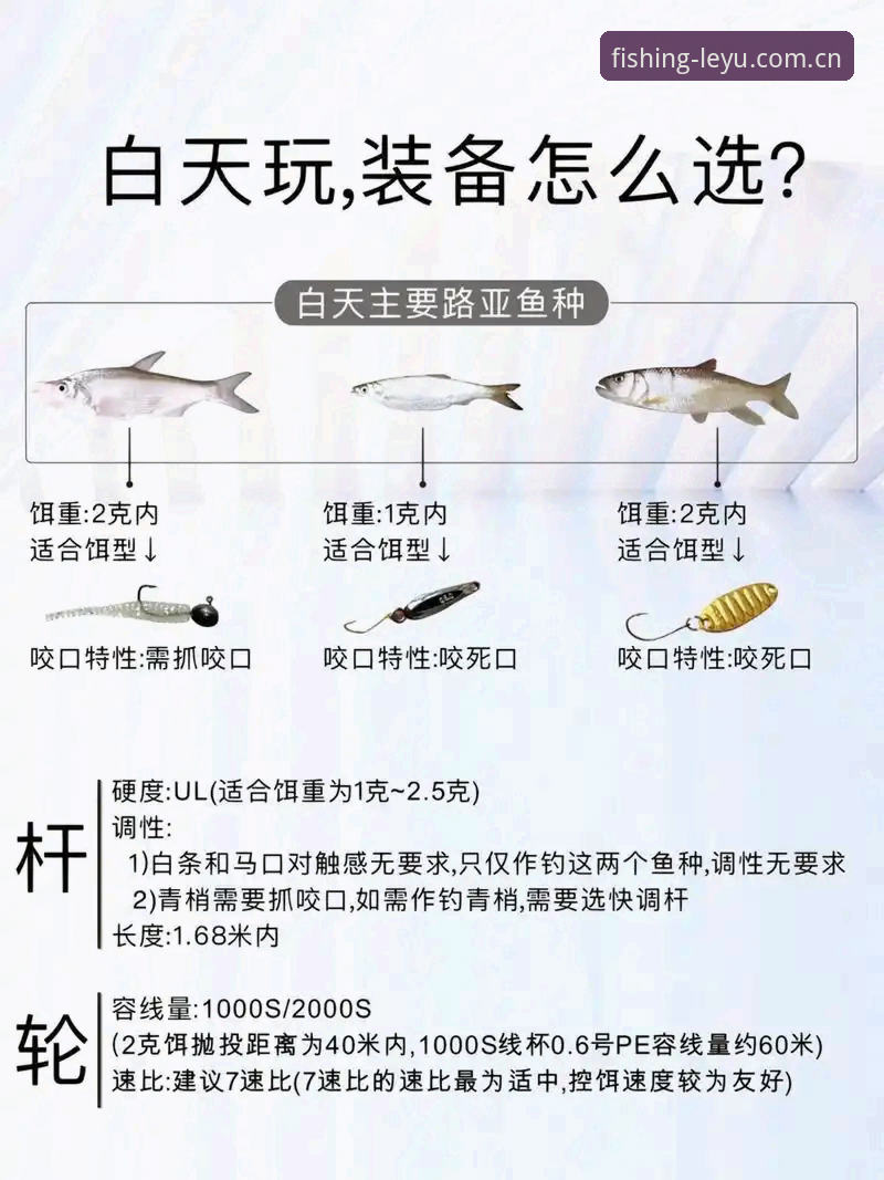 揭秘乐鱼安卓版攻略：新手必知的5个高效技巧，让你快速上手不踩坑